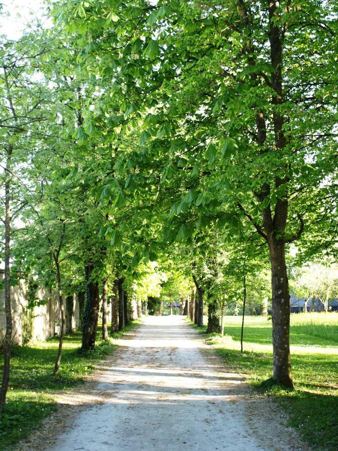 Schloss Puchberg Вельс Екстер'єр фото
